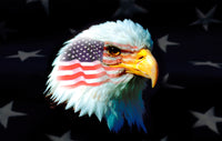 Thumbnail for Patriotic Eagle Flag