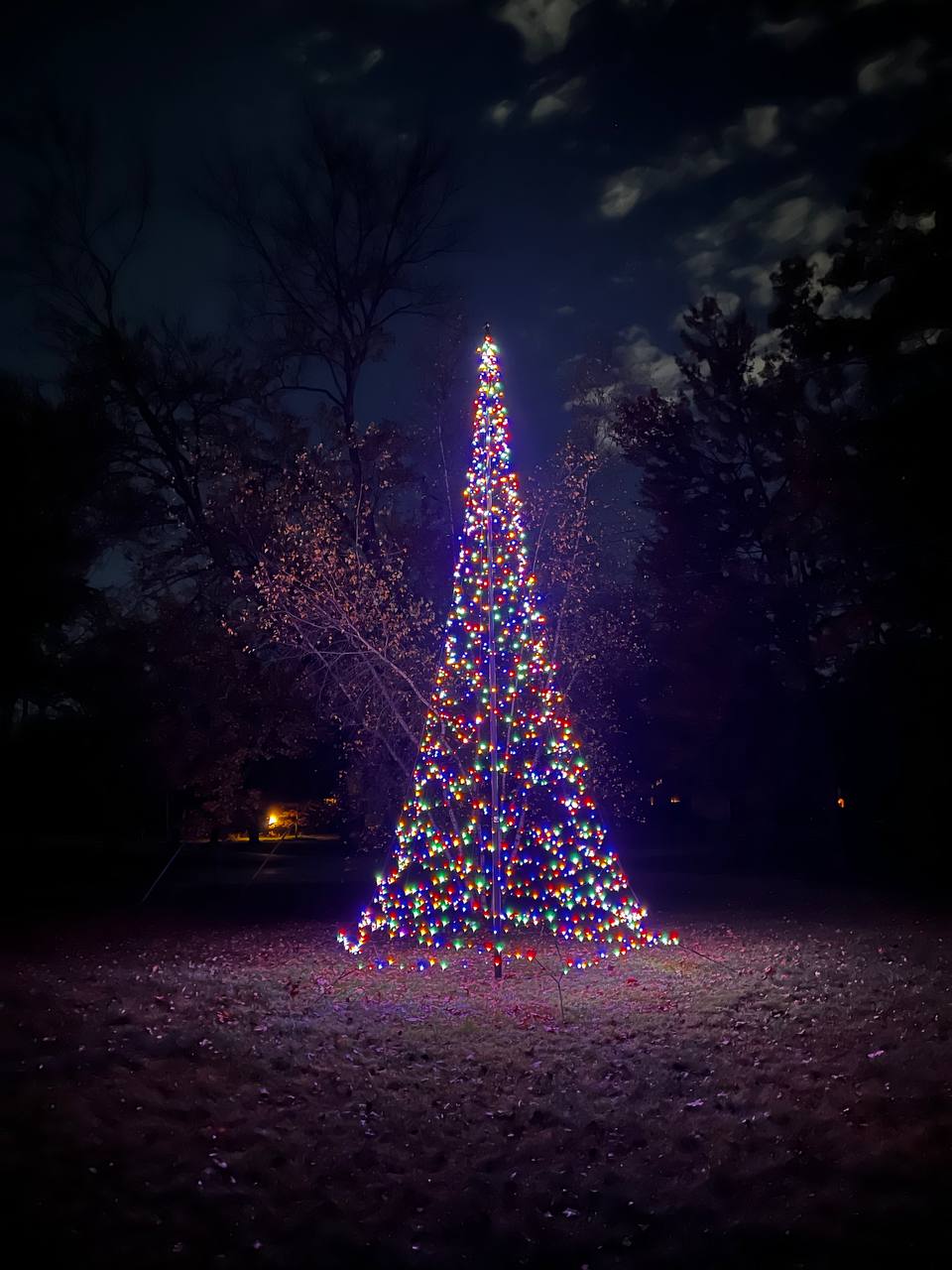 LED Christmas Tree for Flagpole on Sale