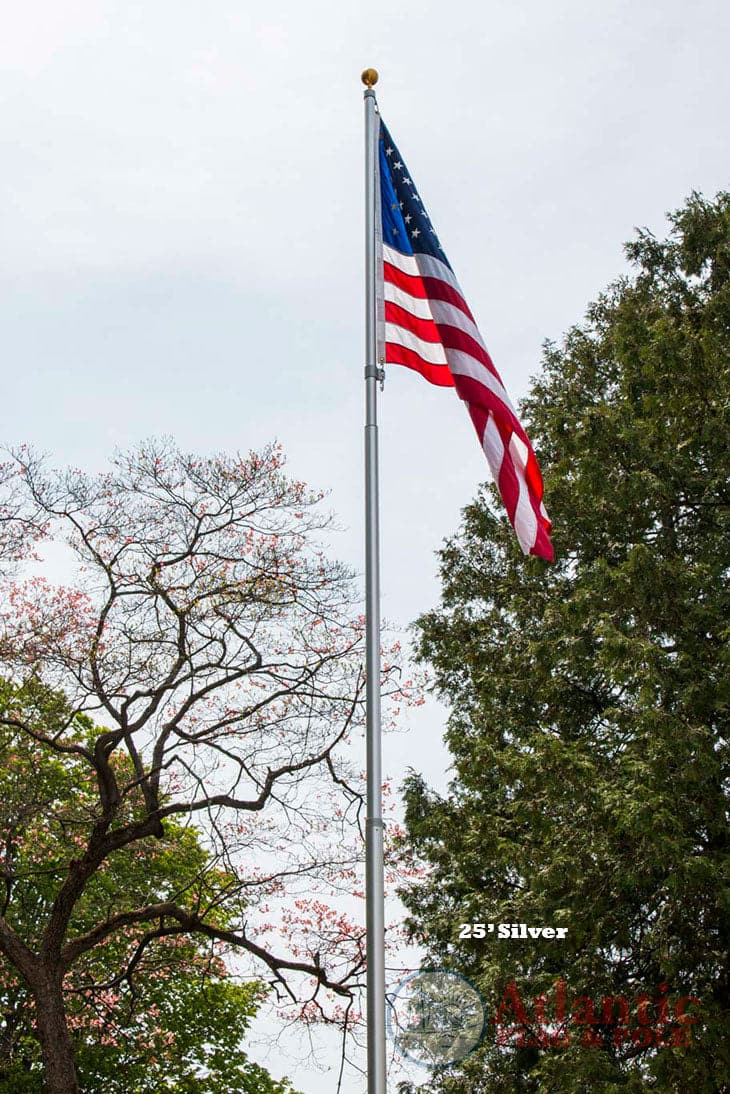 Phoenix Telescoping Flagpole with Free American Flag, Securi-Shur Anti-Theft Locking Clamp, and Lifetime Anti-Theft Guarantee