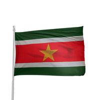 Thumbnail for Suriname Flag